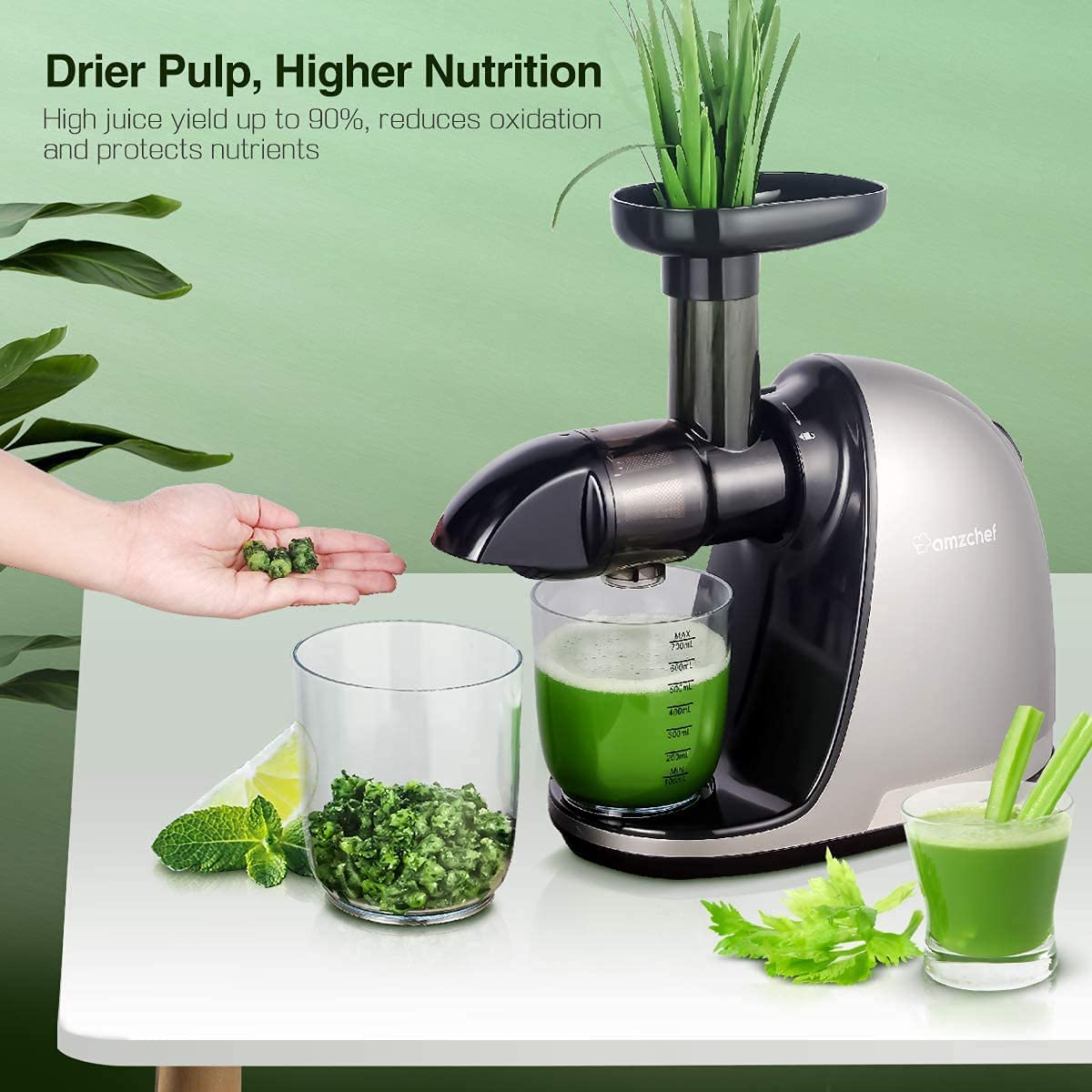 Slow juicer